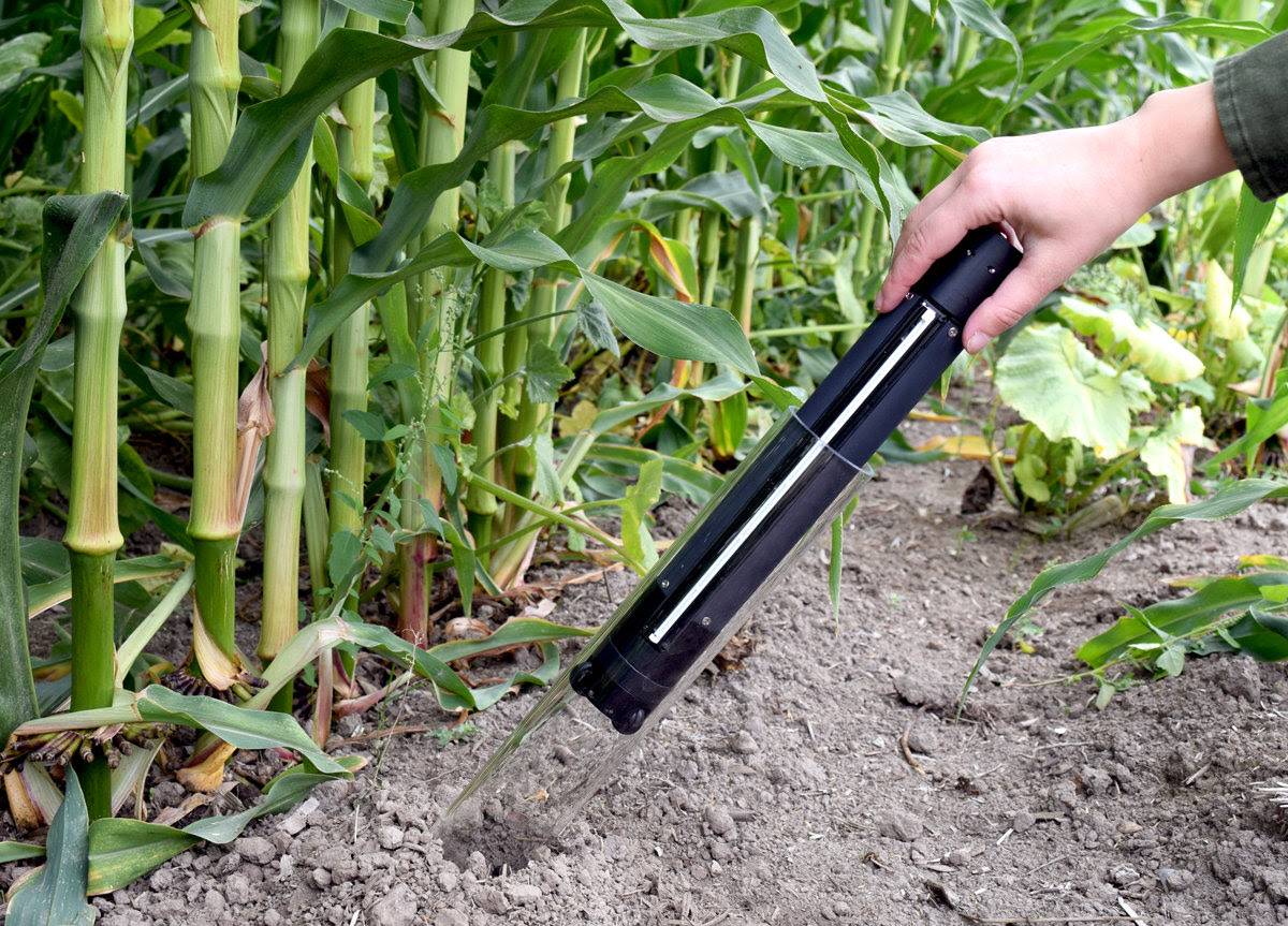 CID 1|CID 2a|CID 2|CID|CID 3|CID 7|CID 6